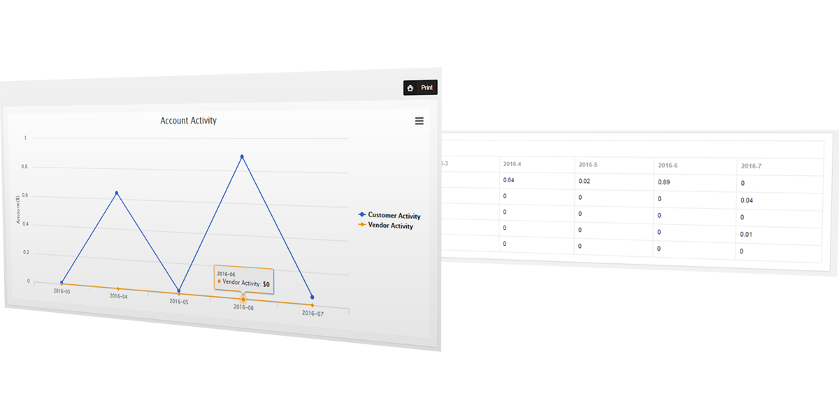 account-activity-customer